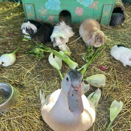Jouques Sejour A La Ferme 빌라 외부 사진