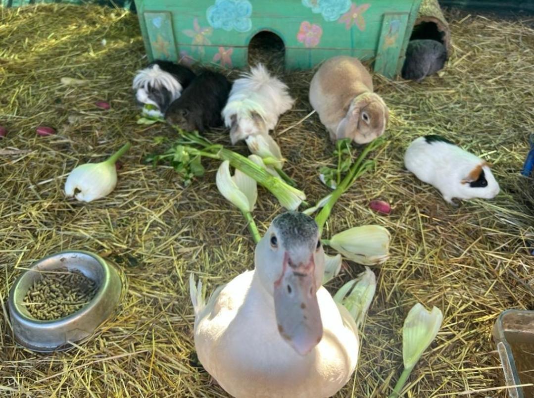 Jouques Sejour A La Ferme 빌라 외부 사진