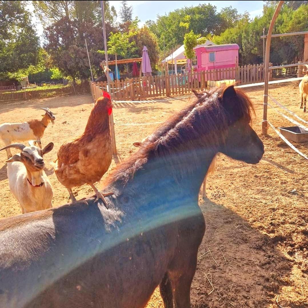 Jouques Sejour A La Ferme 빌라 외부 사진